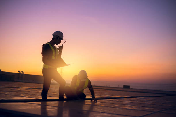 Best Roof Gutter Cleaning  in Aledo, IL