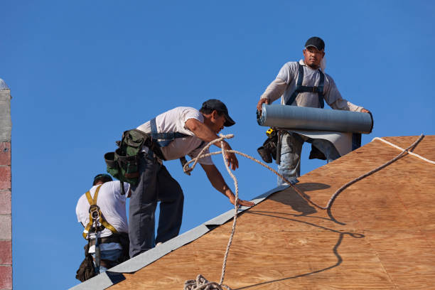 Best Flat Roof Repair Services  in Aledo, IL