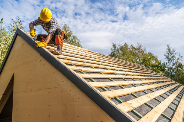 Roof Gutter Cleaning in Aledo, IL
